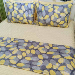 Bộ Drap Hantexco Ga Phủ CGP07 - Ảnh 2