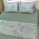 Bộ Drap Hantexco Ga Phủ CGP08 - Ảnh 2